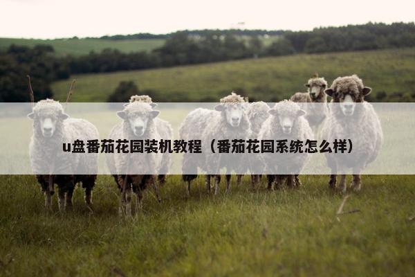 u盘番茄花园装机教程（番茄花园系统怎么样）