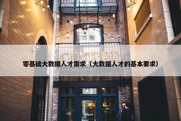 零基础大数据人才需求（大数据人才的基本要求）