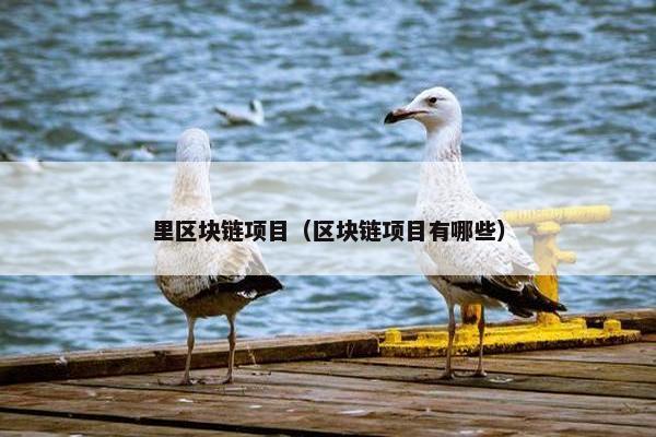 里区块链项目（区块链项目有哪些）