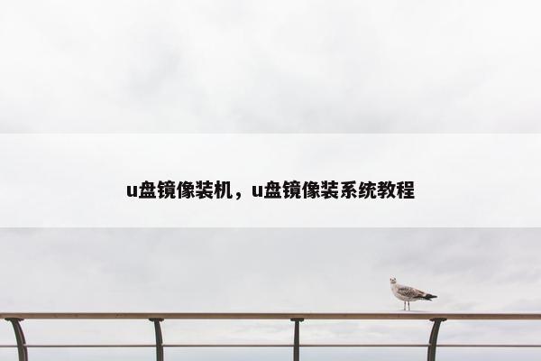 u盘镜像装机，u盘镜像装系统教程