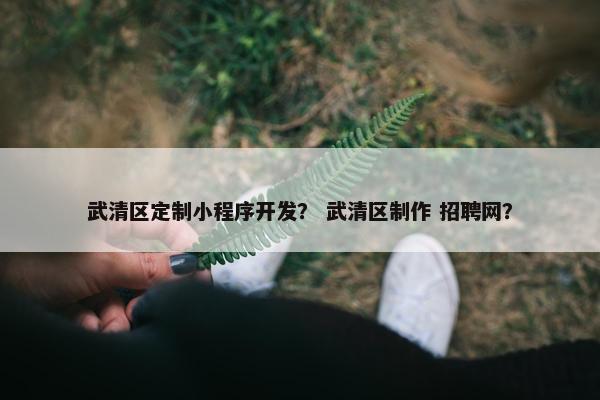 武清区定制小程序开发？ 武清区制作 招聘网？
