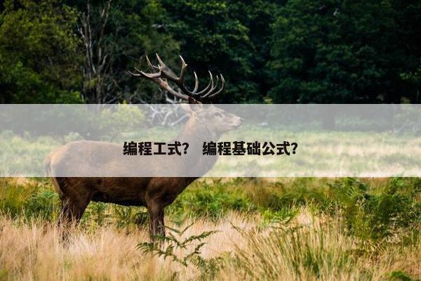 编程工式？ 编程基础公式？