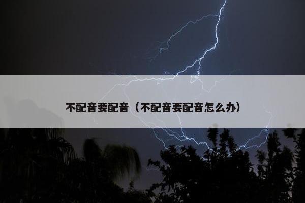 不配音要配音（不配音要配音怎么办）