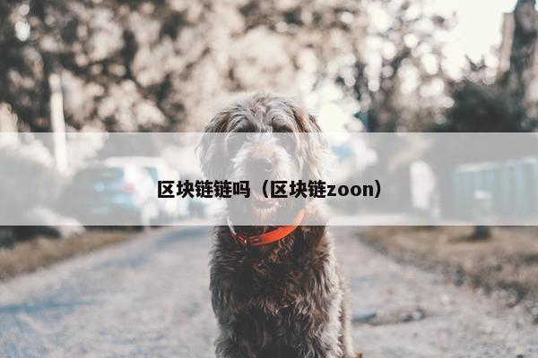 区块链链吗（区块链zoon）