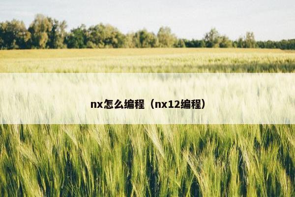 nx怎么编程（nx12编程）