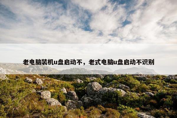 老电脑装机u盘启动不，老式电脑u盘启动不识别
