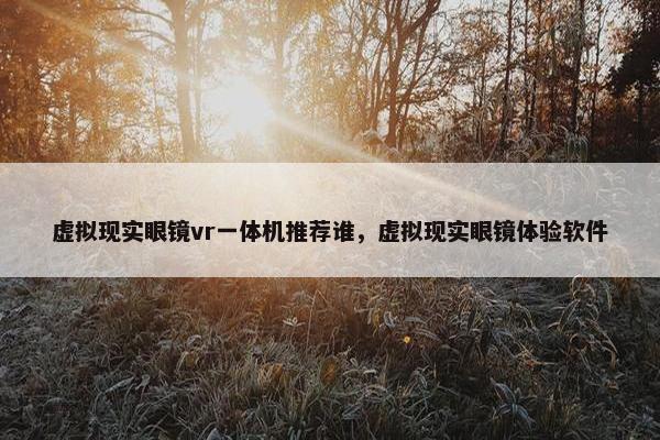 虚拟现实眼镜vr一体机推荐谁，虚拟现实眼镜体验软件