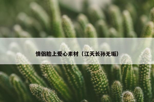 情侣脸上爱心素材（江天长孙无垢）