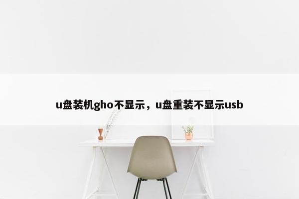 u盘装机gho不显示，u盘重装不显示usb