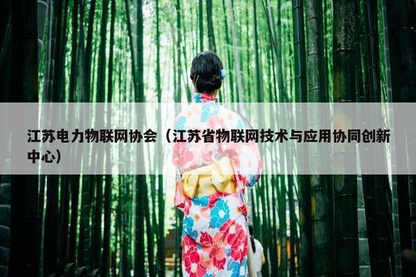 江苏电力物联网协会（江苏省物联网技术与应用协同创新中心）