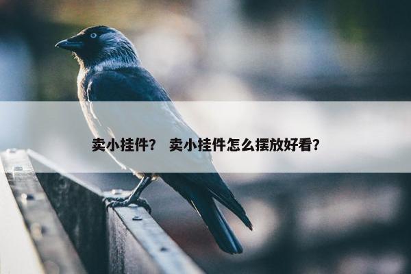 卖小挂件？ 卖小挂件怎么摆放好看？