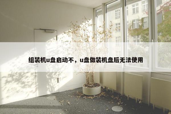 组装机u盘启动不，u盘做装机盘后无法使用