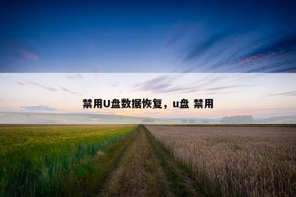 禁用U盘数据恢复，u盘 禁用