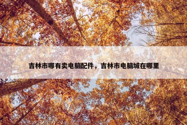 吉林市哪有卖电脑配件，吉林市电脑城在哪里
