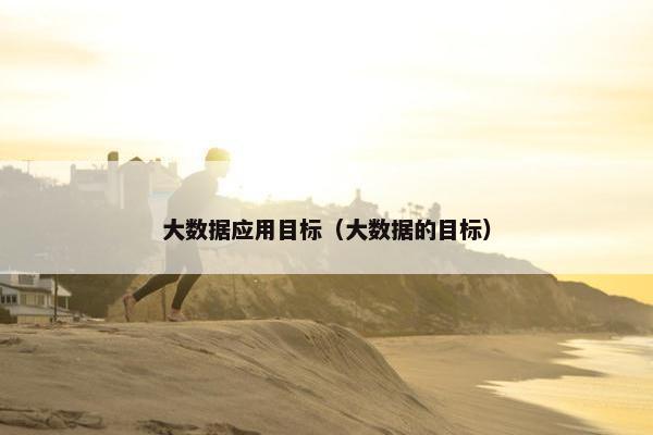 大数据应用目标（大数据的目标）