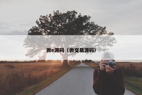 微e源码（微交易源码）