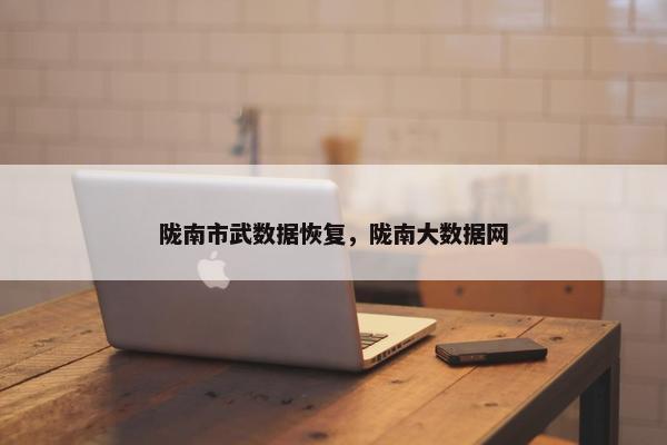 陇南市武数据恢复，陇南大数据网