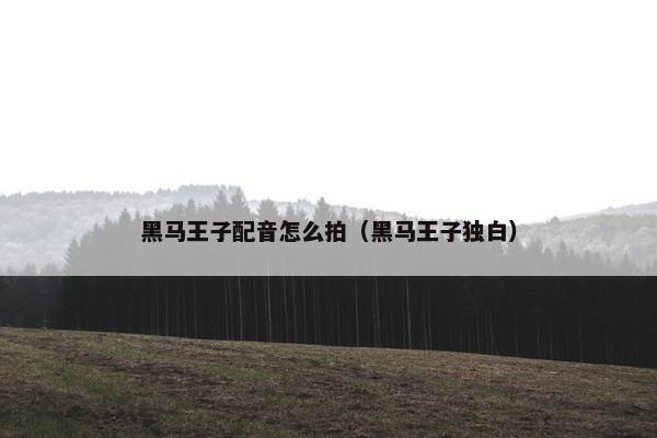 黑马王子配音怎么拍（黑马王子独白）