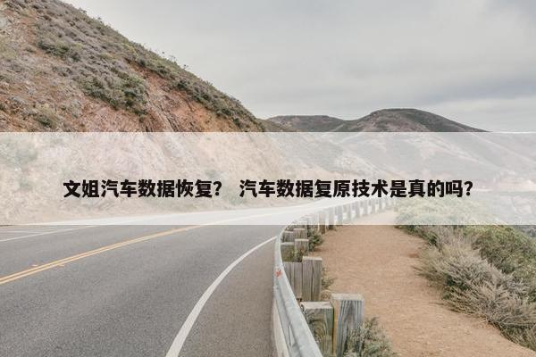 文姐汽车数据恢复？ 汽车数据复原技术是真的吗？