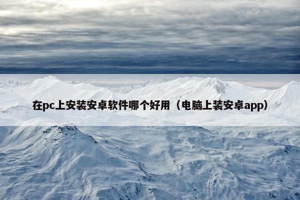 在pc上安装安卓软件哪个好用（电脑上装安卓app）