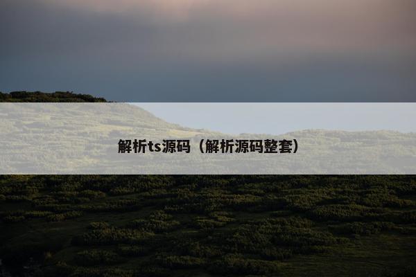 解析ts源码（解析源码整套）