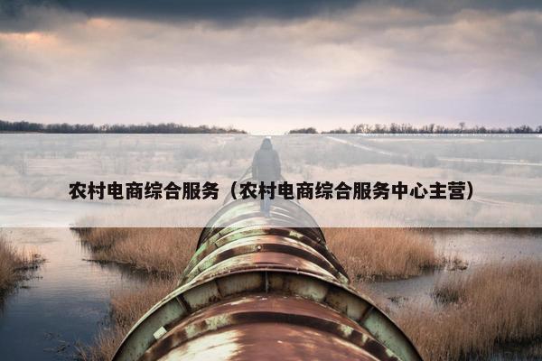 农村电商综合服务（农村电商综合服务中心主营）