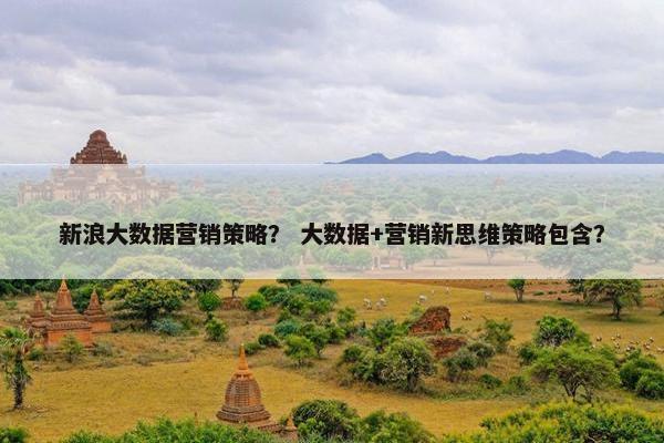 新浪大数据营销策略？ 大数据+营销新思维策略包含？
