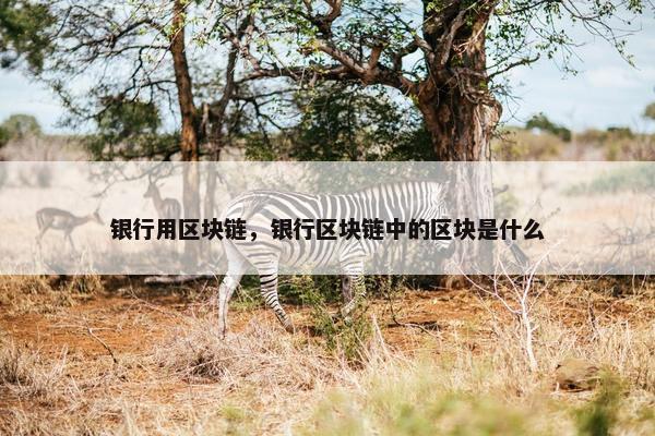 银行用区块链，银行区块链中的区块是什么
