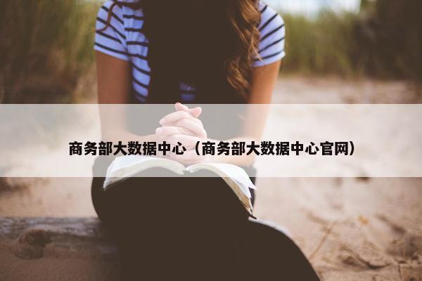 商务部大数据中心（商务部大数据中心官网）
