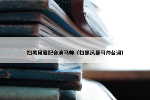 扫黑风暴配音演马帅（扫黑风暴马帅台词）