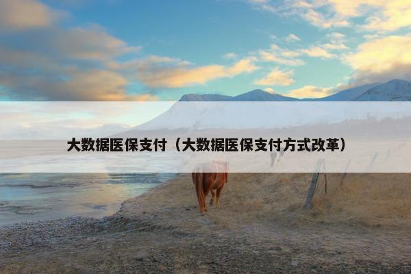 大数据医保支付（大数据医保支付方式改革）