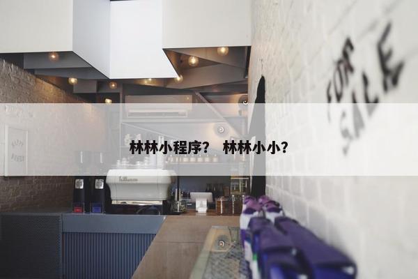林林小程序？ 林林小小？