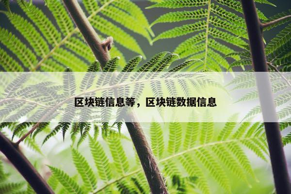 区块链信息等，区块链数据信息