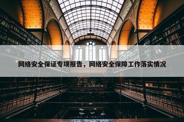 网络安全保证专项报告，网络安全保障工作落实情况