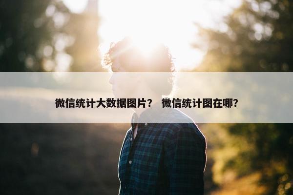 微信统计大数据图片？ 微信统计图在哪？