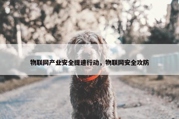 物联网产业安全提速行动，物联网安全攻防