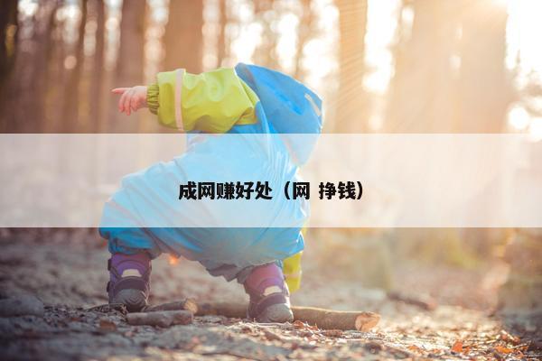 成网赚好处（网 挣钱）