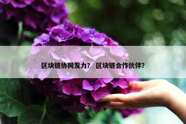区块链协同发力？ 区块链合作伙伴？
