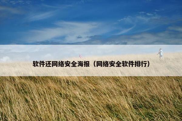 软件还网络安全海报（网络安全软件排行）