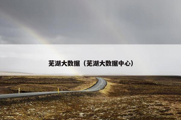 芜湖大数据（芜湖大数据中心）