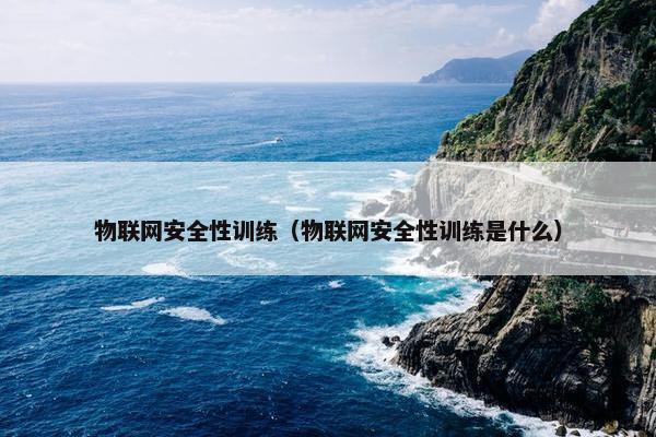 物联网安全性训练（物联网安全性训练是什么）