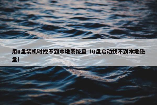 用u盘装机时找不到本地系统盘（u盘启动找不到本地磁盘）