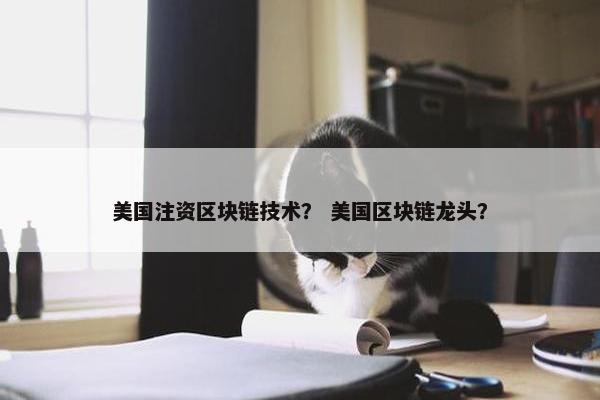 美国注资区块链技术？ 美国区块链龙头？