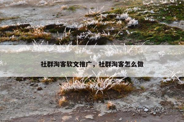 社群淘客软文推广，社群淘客怎么做