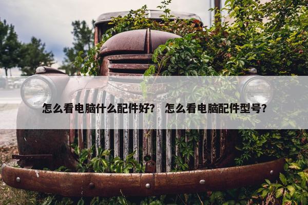 怎么看电脑什么配件好？ 怎么看电脑配件型号？