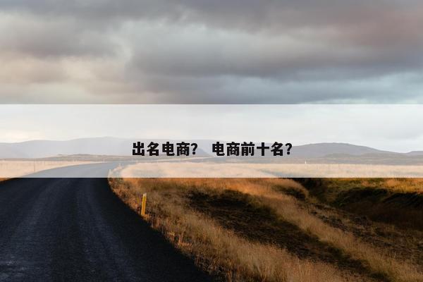 出名电商？ 电商前十名？