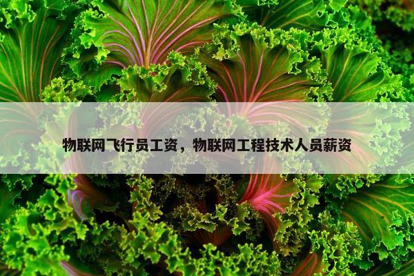 物联网飞行员工资，物联网工程技术人员薪资