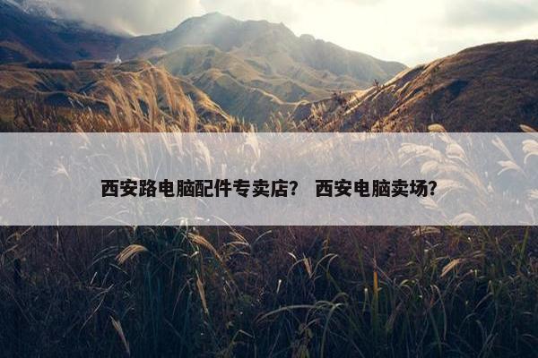 西安路电脑配件专卖店？ 西安电脑卖场？
