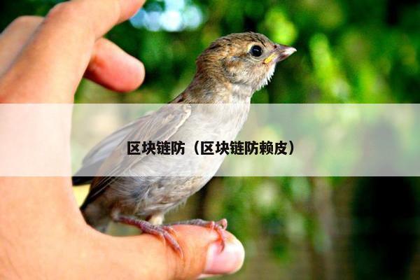区块链防（区块链防赖皮）