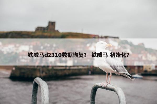 铁威马d2310数据恢复？ 铁威马 初始化？